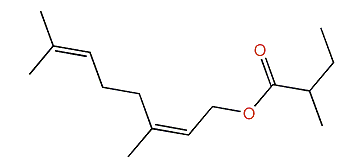 (Z)-3,7-Dimethylocta-2,6-dienyl 2-methylbutanoate